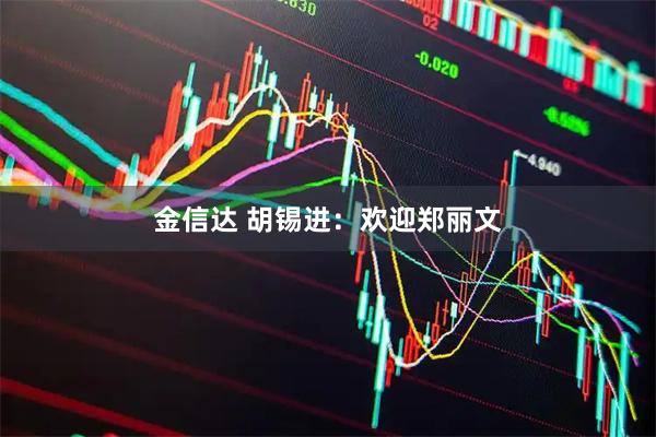 金信达 胡锡进：欢迎郑丽文